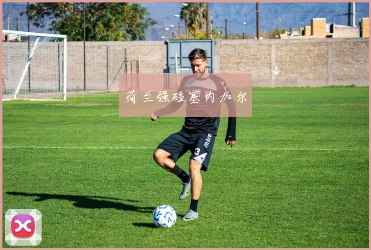 荷兰强碰塞内加尔