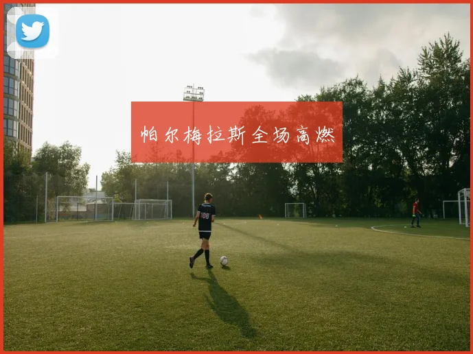 帕尔梅拉斯全场高燃