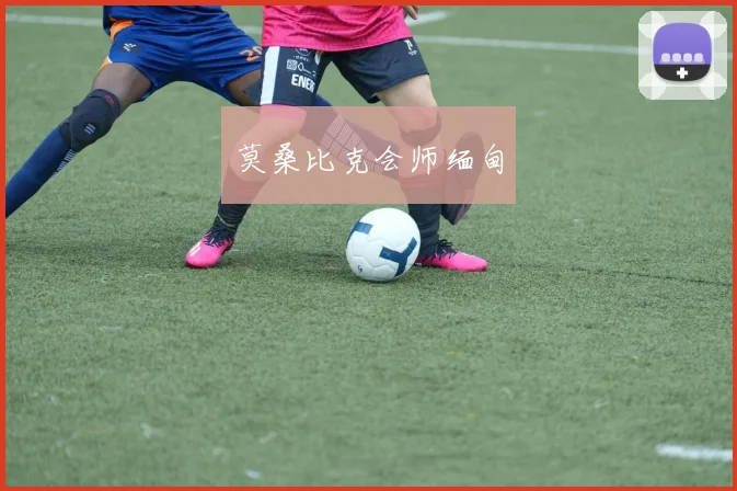 莫桑比克会师缅甸