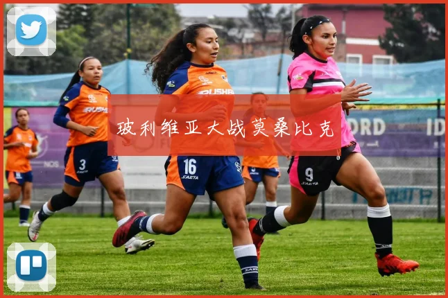 玻利维亚大战莫桑比克