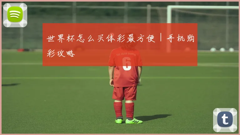 世界杯怎么买体彩最方便｜手机购彩攻略