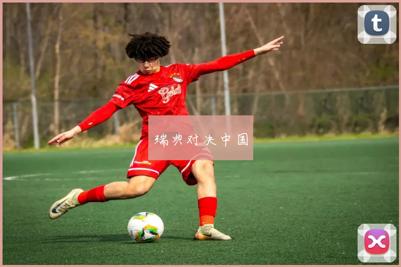 瑞典对决中国