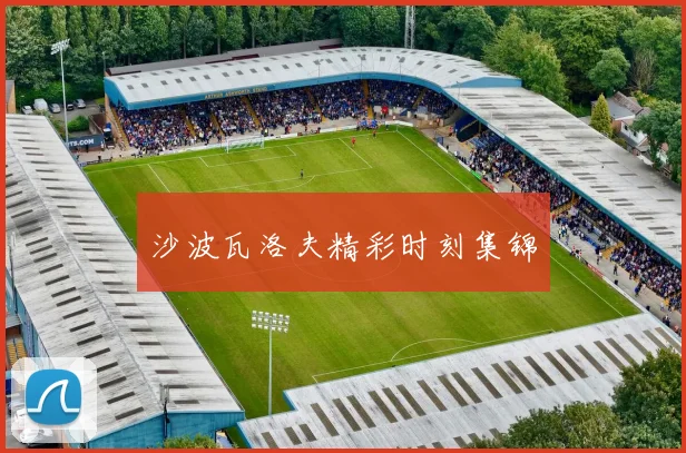 沙波瓦洛夫精彩时刻集锦