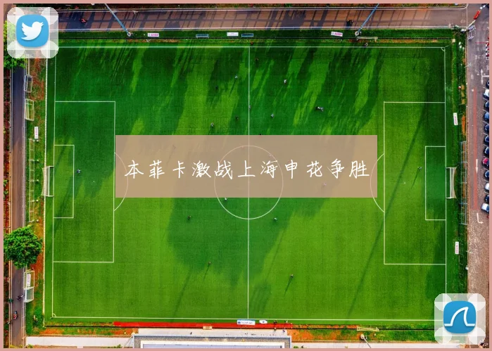 本菲卡激战上海申花争胜