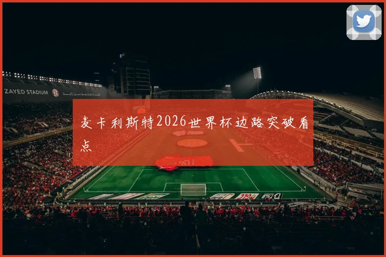 麦卡利斯特2026世界杯边路突破看点