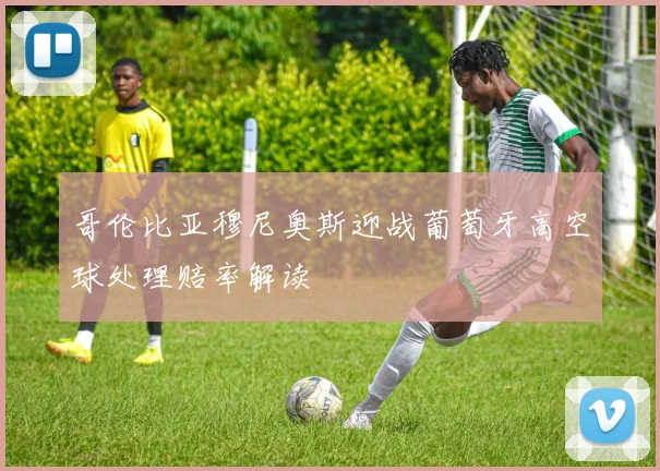 哥伦比亚穆尼奥斯迎战葡萄牙高空球处理赔率解读