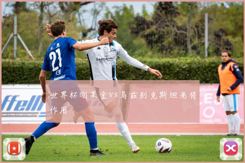 世界杯刚果金vs乌兹别克斯坦老将作用