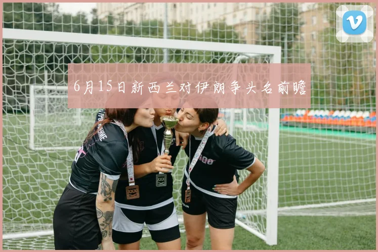 6月15日新西兰对伊朗争头名前瞻