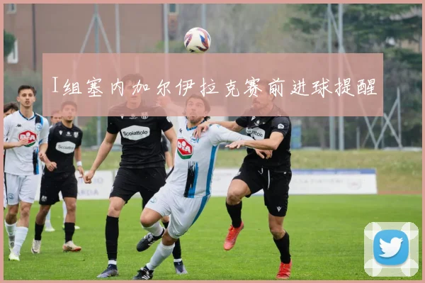I组塞内加尔伊拉克赛前进球提醒