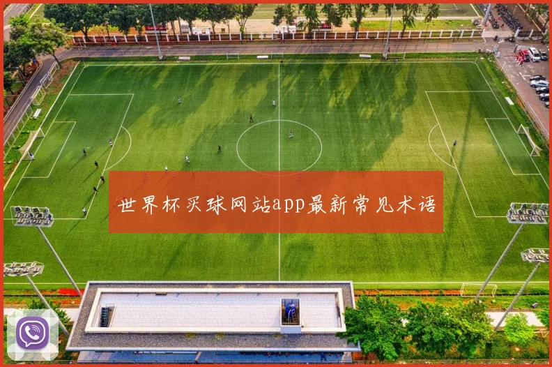 世界杯买球网站app最新常见术语