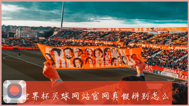 世界杯买球网站官网真假辨别怎么找