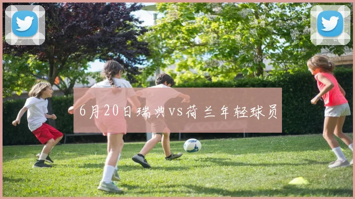 6月20日瑞典vs荷兰年轻球员